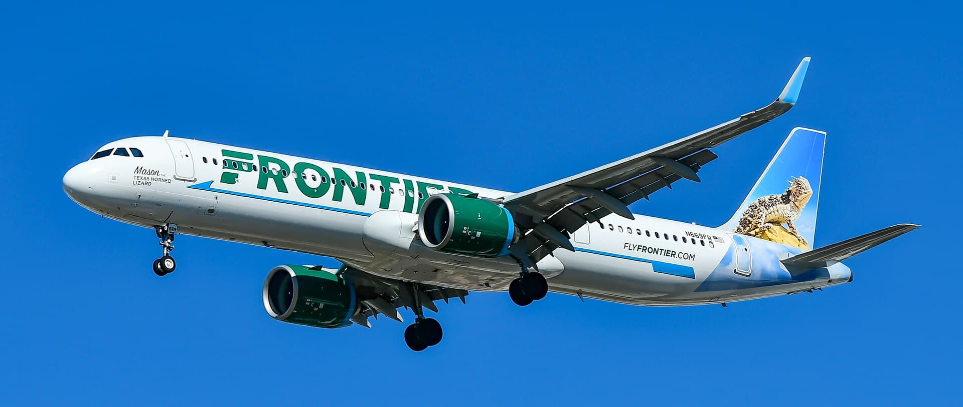 Frontier A321neo with a horned lizard tail against a blue sky